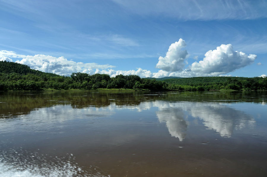 黑龙江，领导与朋友们共话发展新篇章
