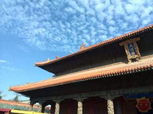 山东深巷里的秘密花园，揭秘隐藏的特色小店