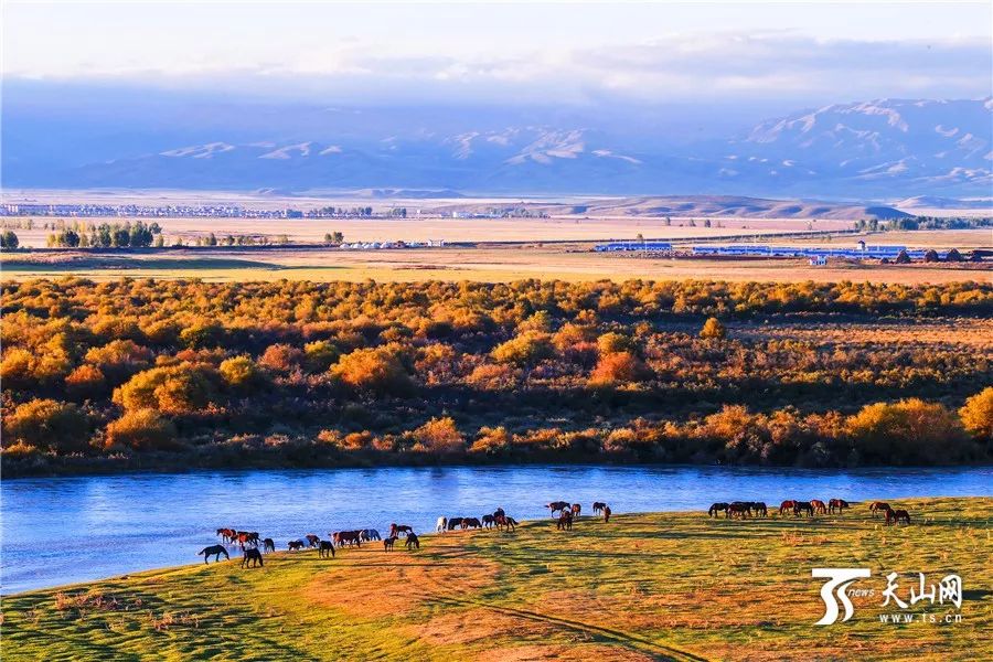 新疆盛会，致敬领导，拥抱友谊